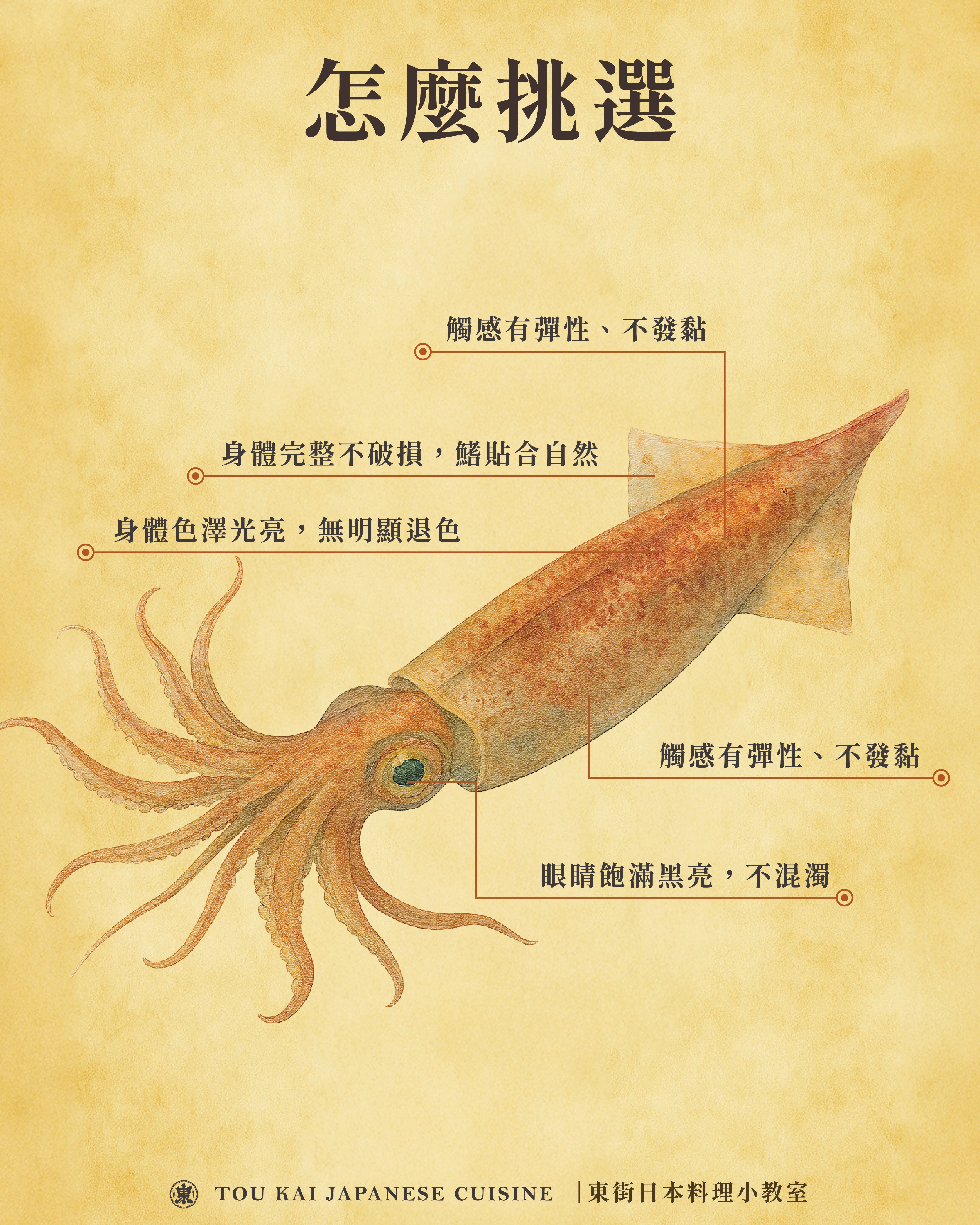 小卷片,小卷,小捲