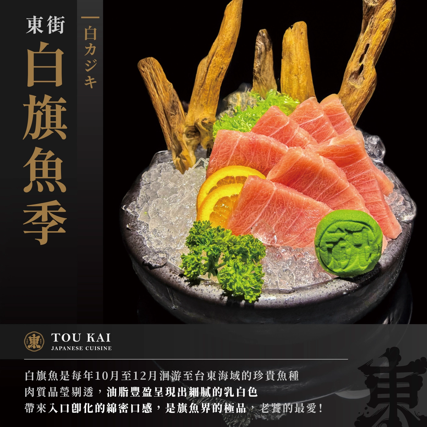 白旗魚,立翅旗魚,旗魚季